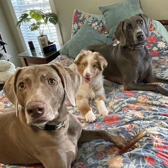 Bundle and Save! - Picture 2 of 12